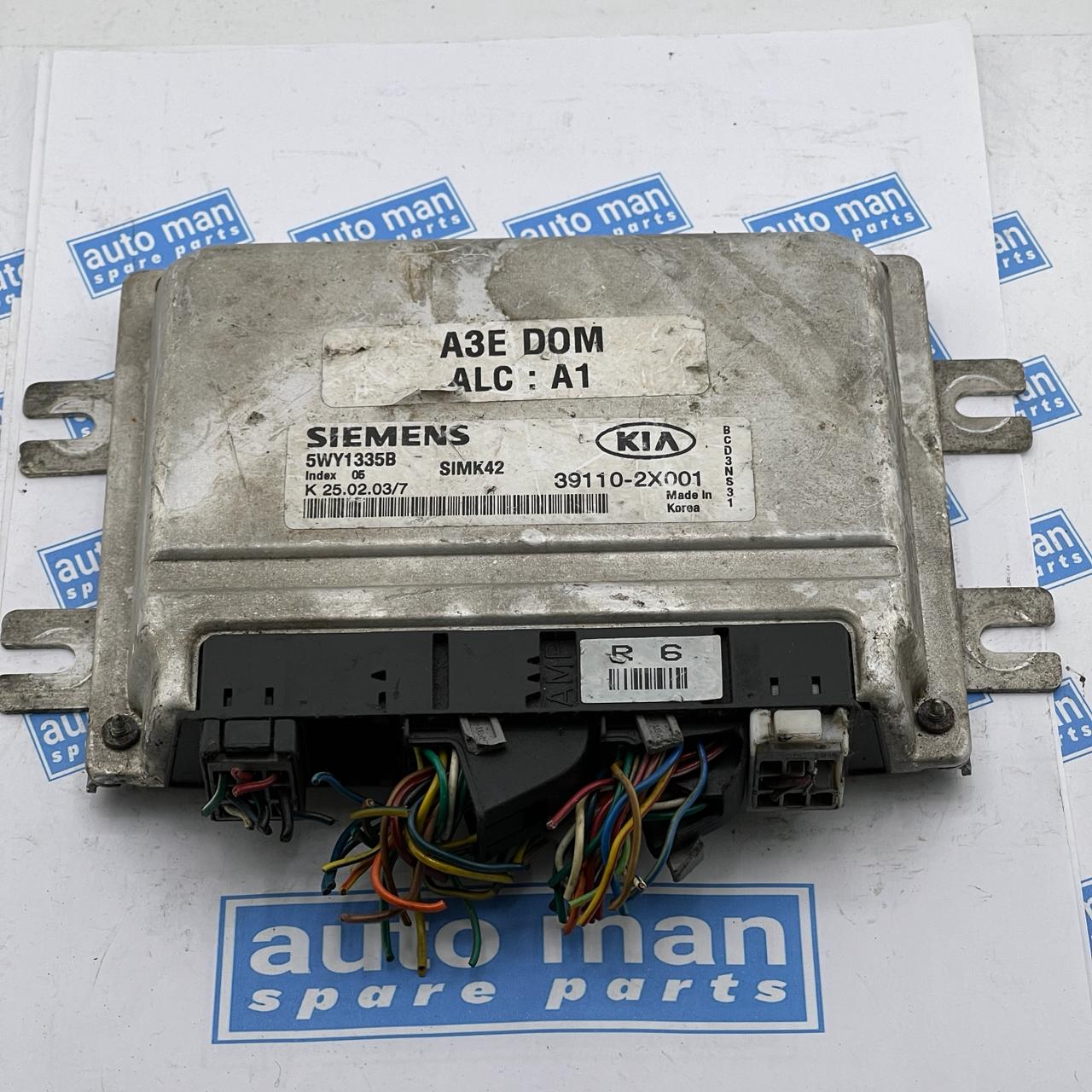 Engine Control Unit / ECU KIA Rio 2002 2311024800  391102X001  5WY1335B