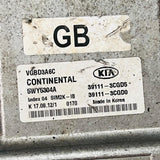 KIA Engine Control Unit (ECU) - Part Number 391113CGD5 391113CGD0 5WY5304A