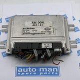 Engine Control  / ECU 5WY1335B, 391102X001 KIA Rio 2002 2311024800, 39110-2X001