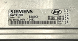 ECU 5WY4172D HYUNDAI 3910223615 SIMK43 3913023610