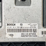 Bosch Engine ECU, Kia-Hyundai, 0 281 014 250 0281014250 39110-27355