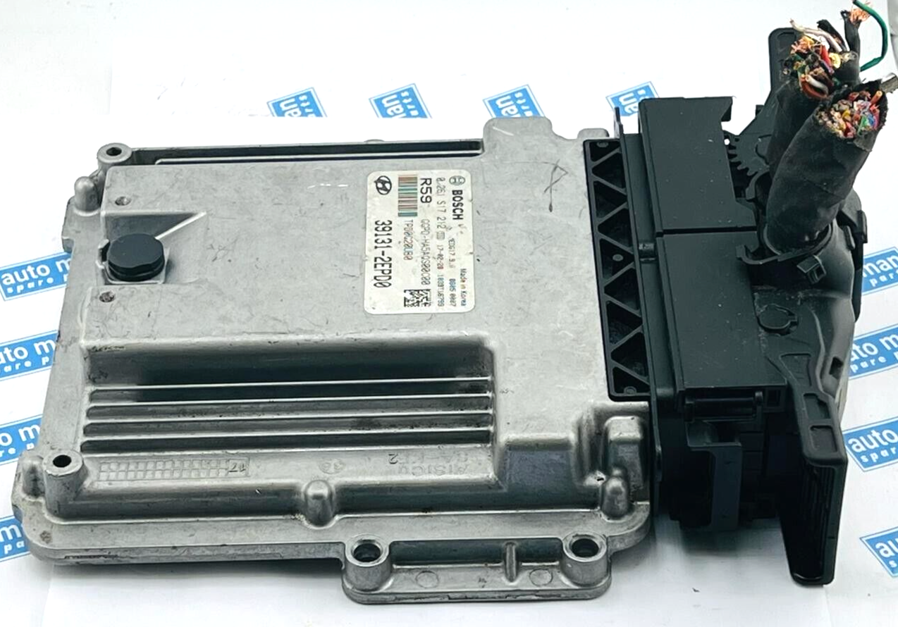 Plug & Play Bosch Engine ECU,Kia/Hyundai, 0261S17192, 0 261 S17 212, 39131-2EPD0