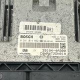 ECU, Kia-Hyundai, 0 281 014 662 0281014662 39104-4A300