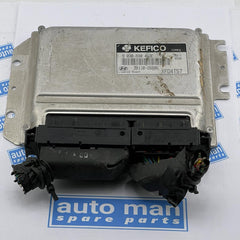 Engine Control Unit / ECU HYUNDAI Elantra XD 2004 3911026686